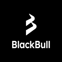 blackbullmarkets2501.png
