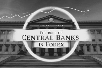 How Banks Control the Forex Market: Insider Insights Every Trader Must Know